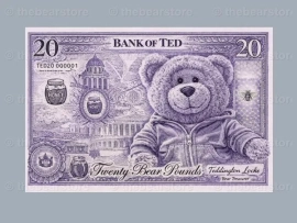 MAPC-TED-20note